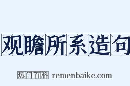 观瞻所系造句是什么意思的图片